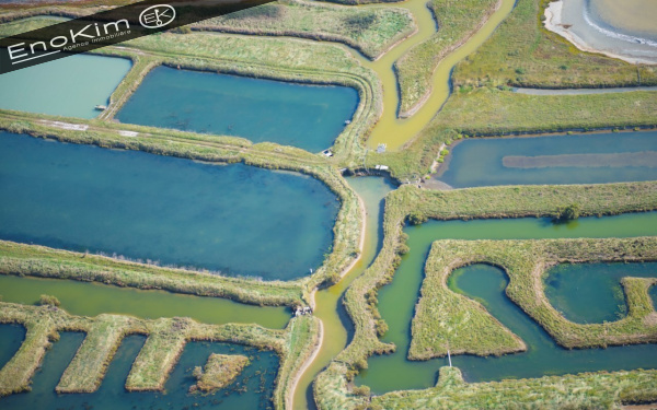 Offres de vente Terrain L'Île-d'Olonne 85340