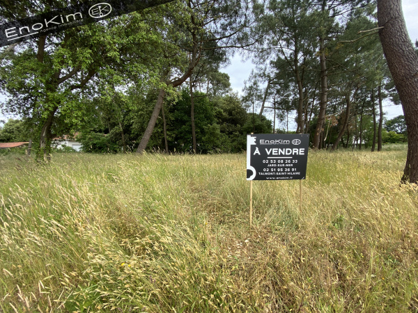 Offres de vente Terrain Jard-sur-Mer 85520