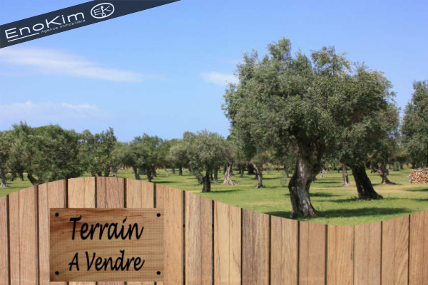 Offres de vente Terrain L'Île-d'Olonne 85340