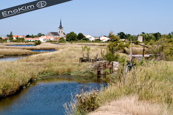 Offres de vente Terrain L'Île-d'Olonne 85340